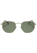 Roxbury Polarized Sunglasses in Gold G15