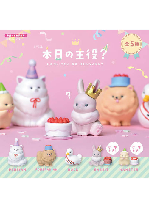 Today's Star Animal Birthday Figurine - 10pc Blind Box Set