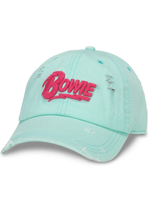 American Needle Bowie Shred Slouch Raglan Hat